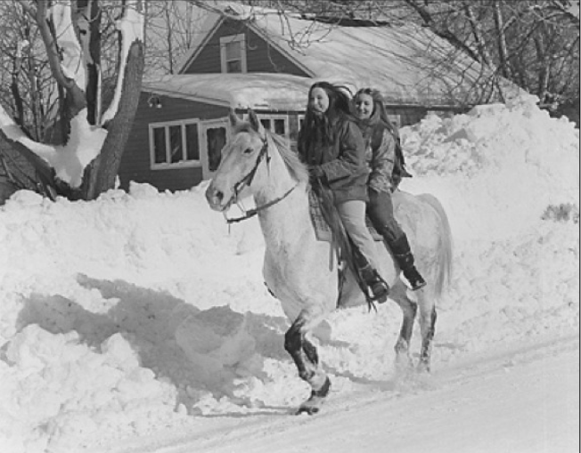 Blizzard of 1977 - Horse Ride Aftermath