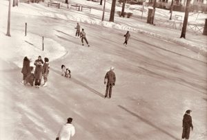 Park Circle Skating -