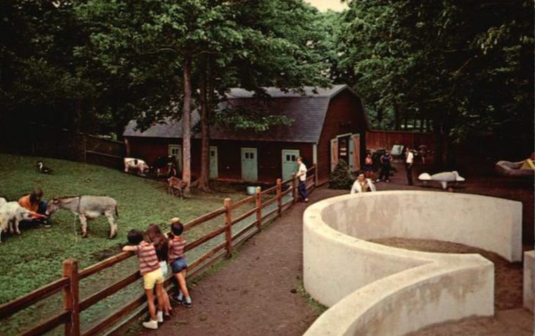 Thompson Park Zoo - Zoo New York (1920 - Present)