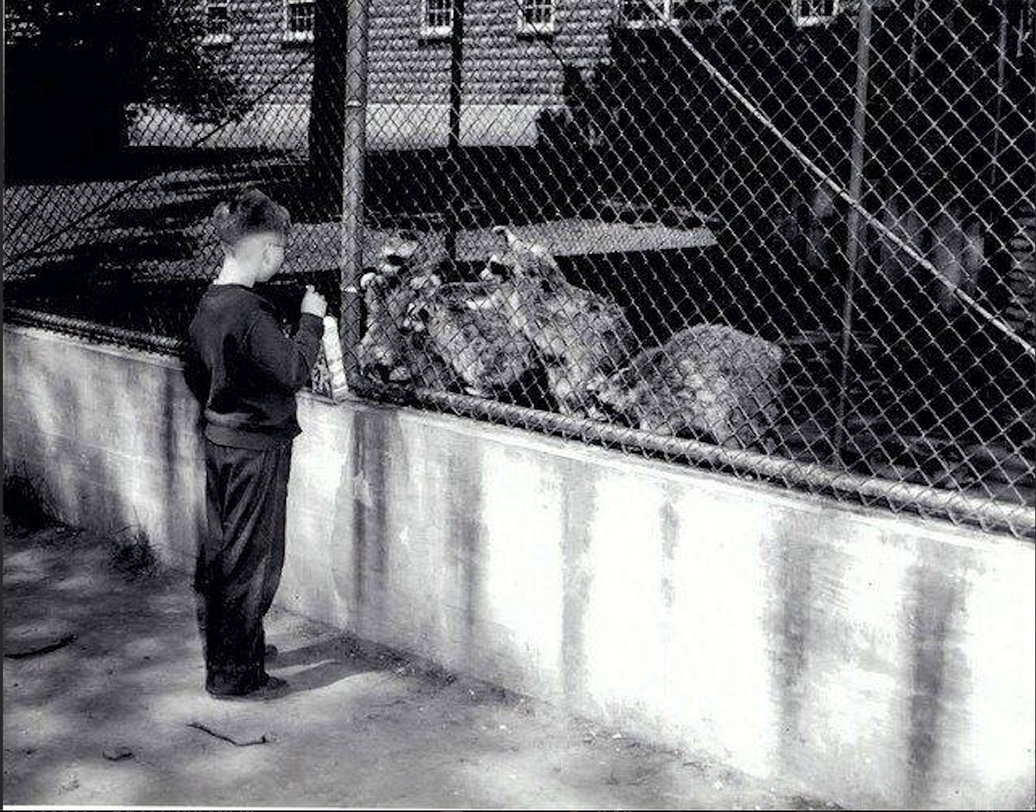 Thompson Park Zoo Zoo New York (1920 Present)