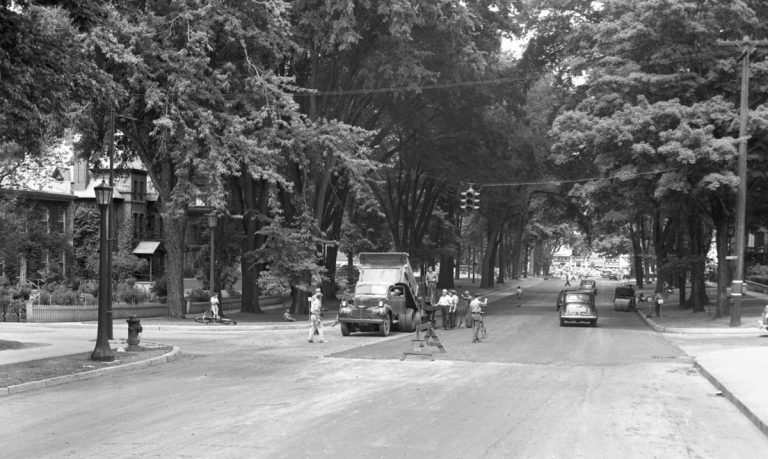 Dutch Elm Disease Toll On Washington Street 1950s - 70s