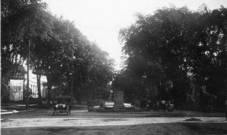 Dutch Elm Disease Toll On Washington Street 1950s - 70s