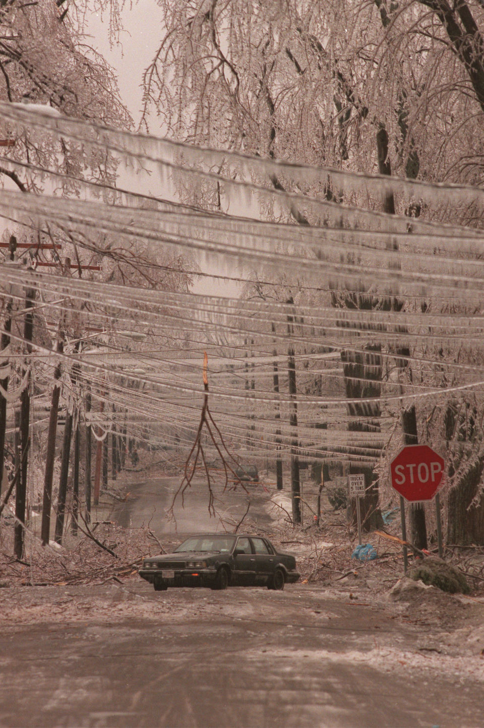 Boyd Street, Watertown, N.Y., 1998 Ice Storm