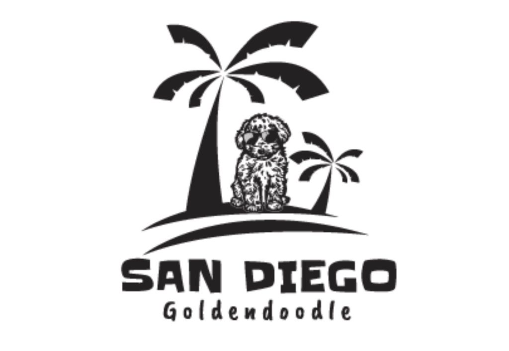 San Diego Goldendoodle