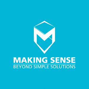 Making Sense -