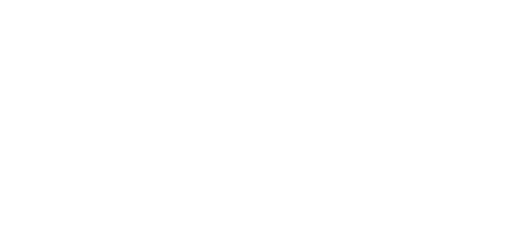 Brilliant Insurance LOGO White 768x328