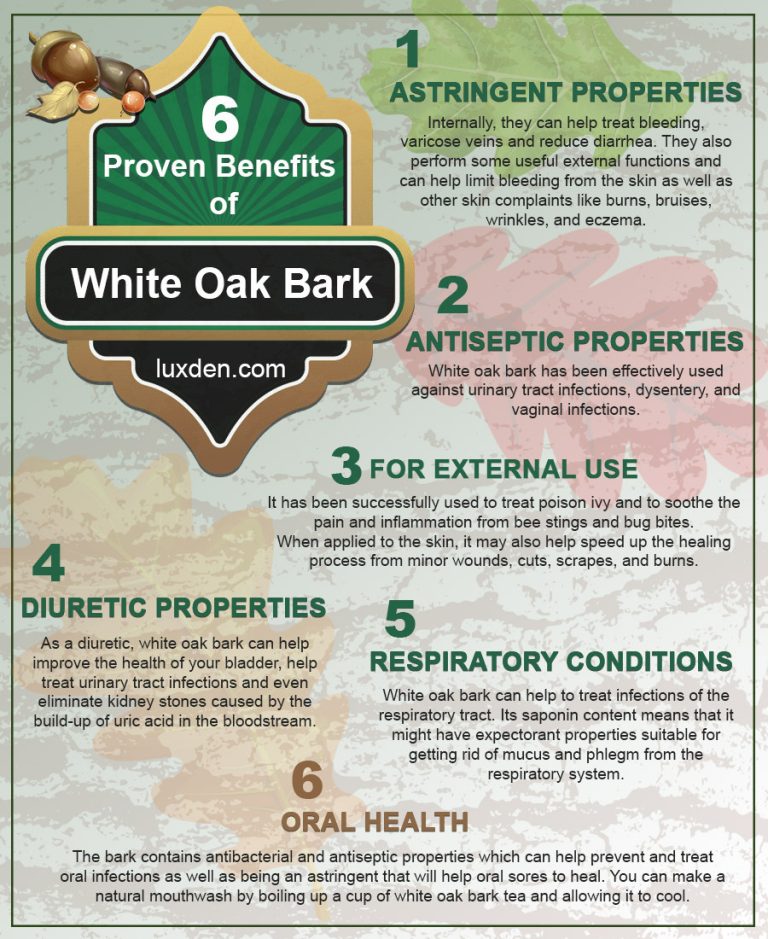 6 Proven Benefits of White Oak Bark 768x939