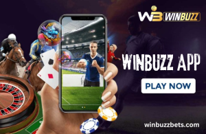 winbuzzbets.com 1 -