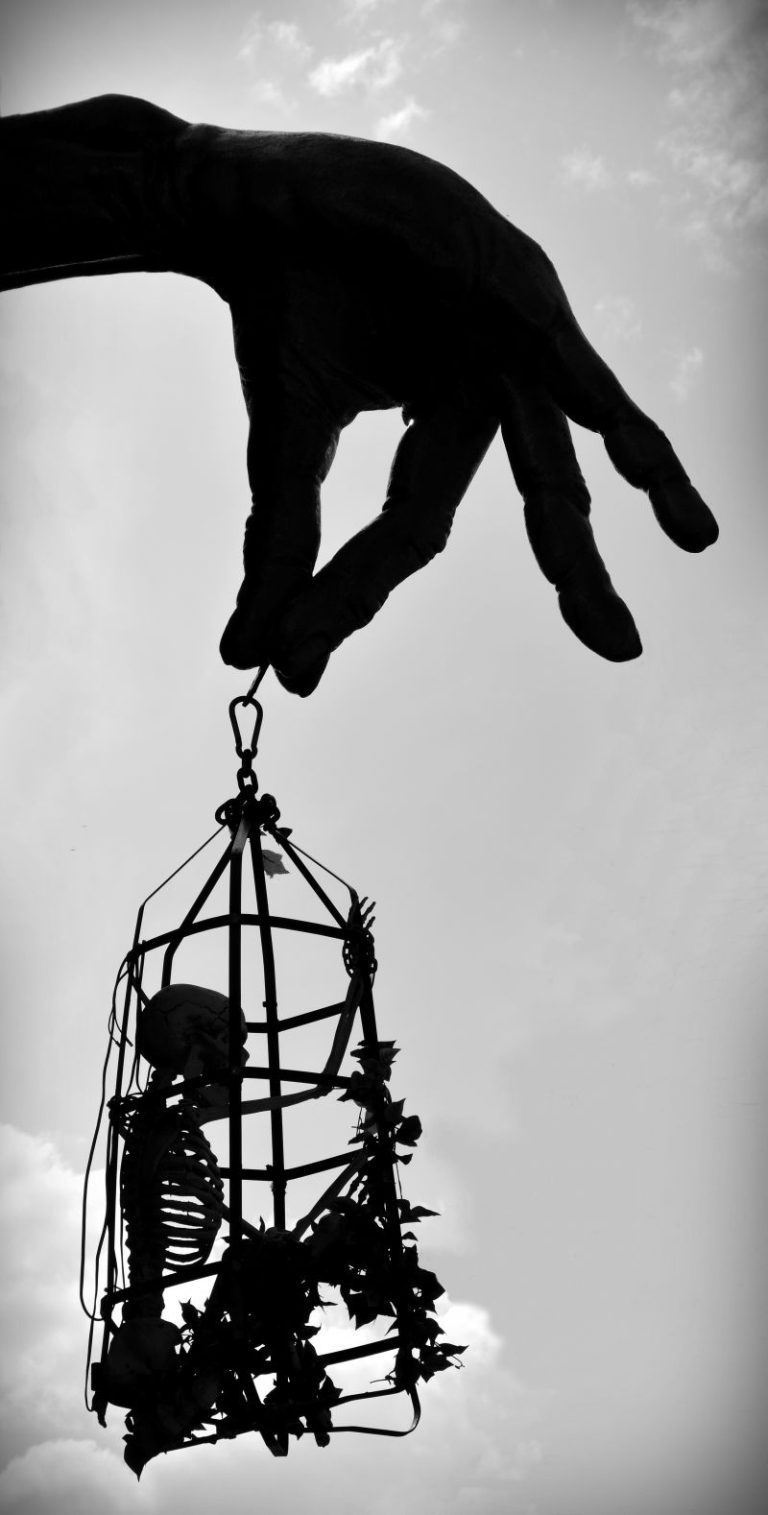The Case of the Mysterious Severed Hand - June 14, 1900