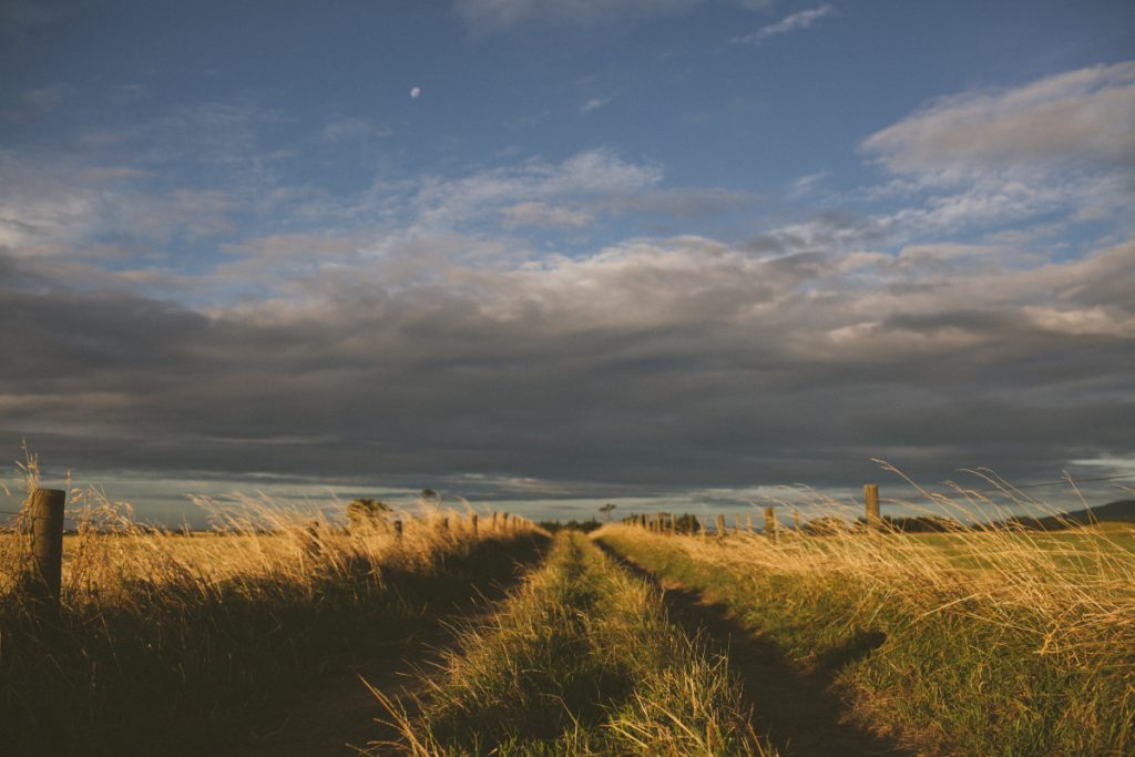 path_field_cloud_country_country_road-197.jpg!d