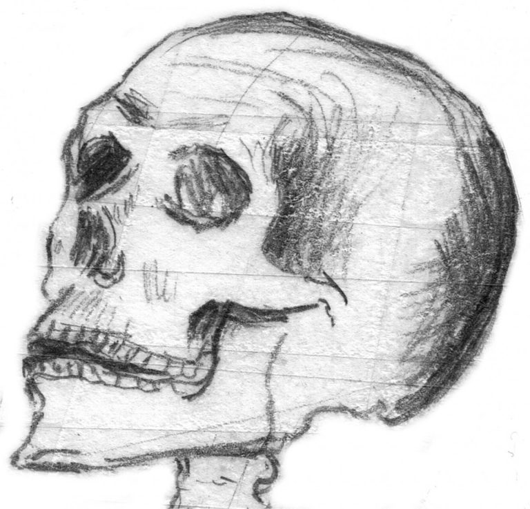 The Case of the Mysterious Severed Hand - June 14, 1900