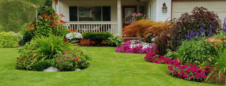 Insignia Landscape Cover 768x292