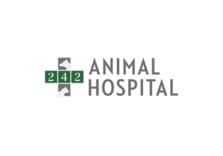 242 Animal Hospital 768x538