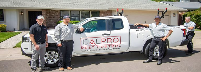 cover 1 Copy 1 768x278