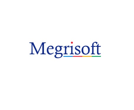 megrisoft 1