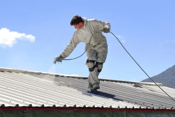 Roof Painting