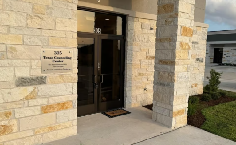 Screenshot 2025 11 10 200930 768x471