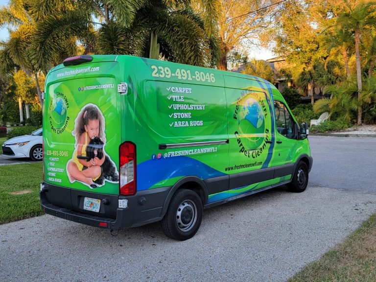 Fresh N Clean SWFL Cover image 768x576