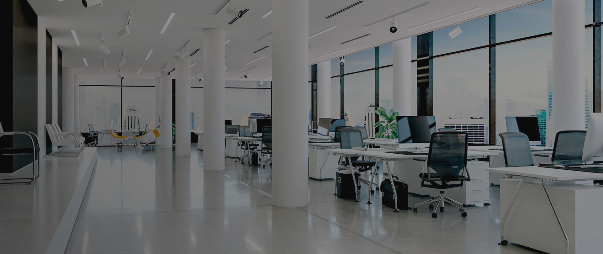 Living Fresh Cleaning Perth